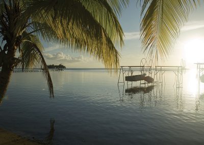 séjours-îles-de-la-societe-raiatea-sunset-polynesie-e-tahiti-travel