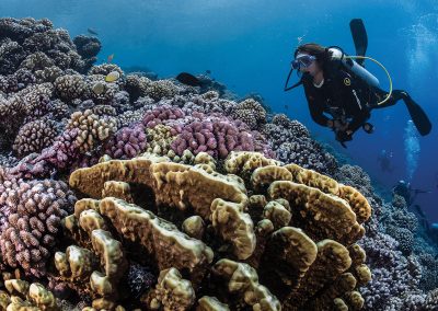 séjours-plongées-aquatiki-fakarava-coraux-e-tahiti-travel
